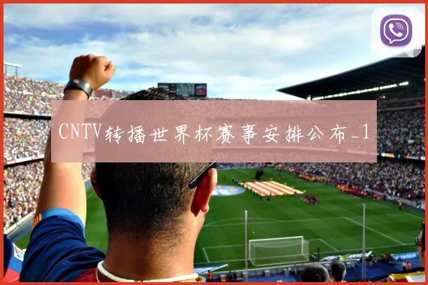 CNTV转播世界杯赛事安排公布_1