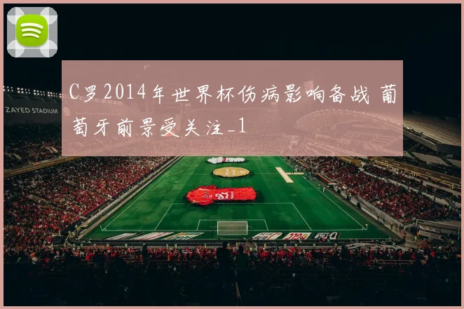 C罗2014年世界杯伤病影响备战 葡萄牙前景受关注_1
