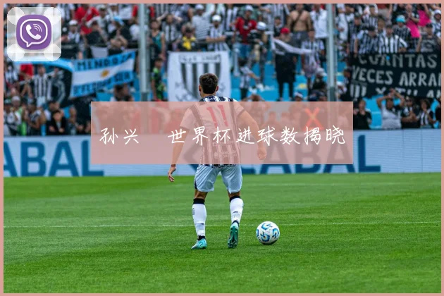 孙兴慜世界杯进球数揭晓