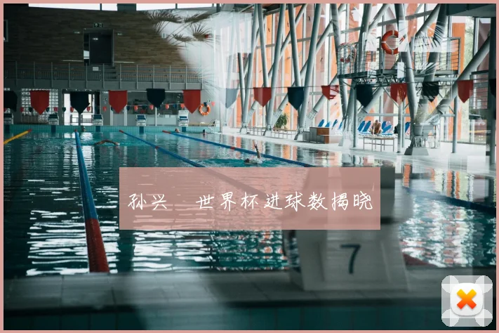 孙兴慜世界杯进球数揭晓