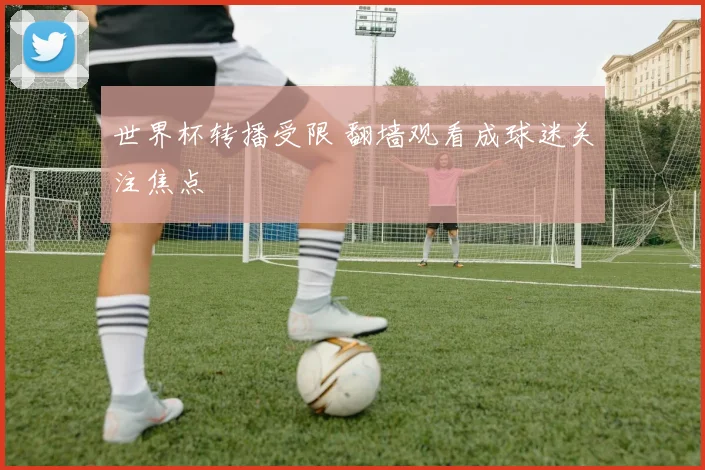 世界杯转播受限 翻墙观看成球迷关注焦点