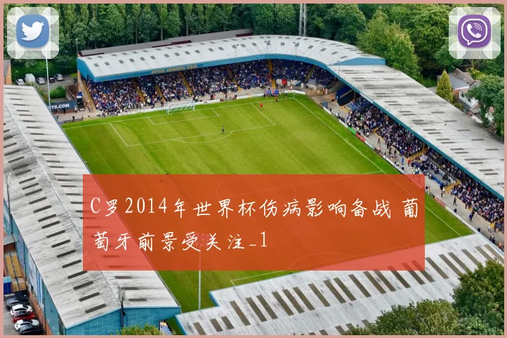 C罗2014年世界杯伤病影响备战 葡萄牙前景受关注_1