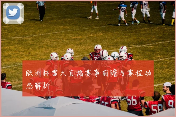 欧洲杯雷火直播赛事前瞻与赛程动态解析