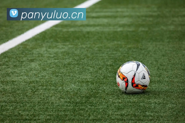 App Interface Preview